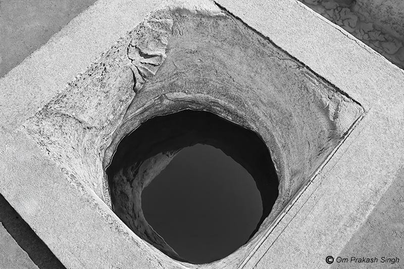 A <em>beri</em> showing high water table - in Netsi village, Thar desert, Jaisalmer district, Rajasthan, India